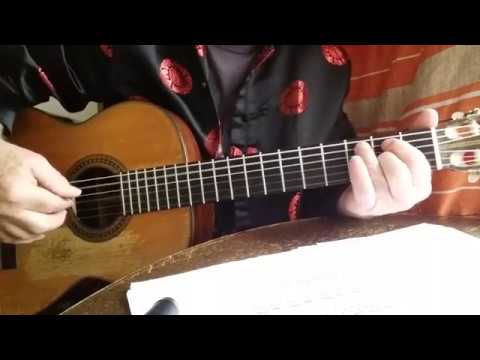 The  Butterfly   -   Mauro  Giuliani