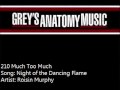 210 Roisin Murphy - Night of the Dancing Flame ...