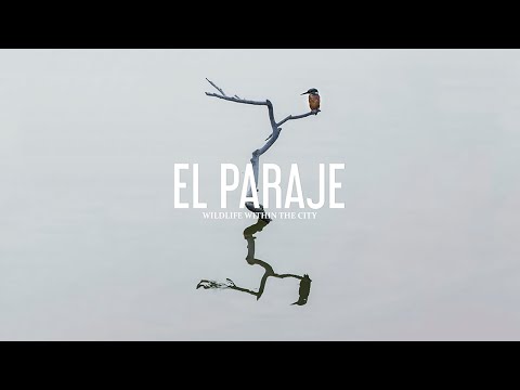 El Paraje, wildlife within the city (documentary)