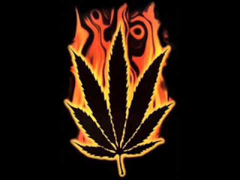 Lord Sativa - Smoke tilI I sleep...