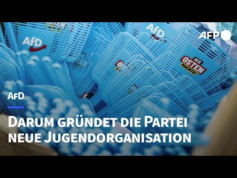 Darum gründet die AfD eine neue Jugendorganisation | AFP
