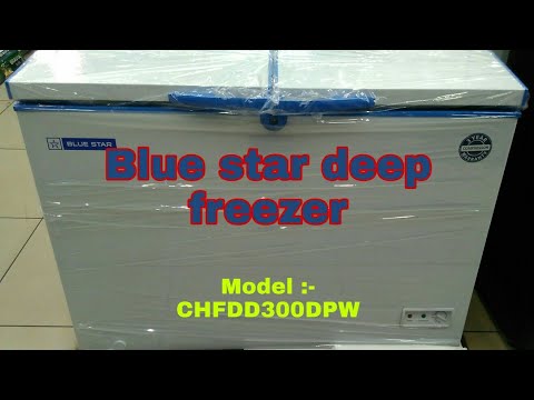 CHF300 Blue Star Dual Temperature Freezer