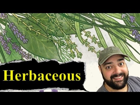 Herbaceous - YouTube Video