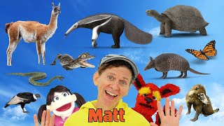 South American Wild Animals | What Do You See? Song  | Find It Version | Dream English Kids