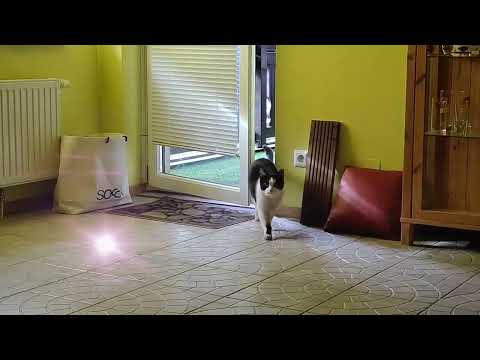 Türen sind kein Problem - solange sie angelehnt sind