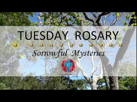 Tuesday Rosary • Sorrowful Mysteries of the Rosary 💜 June 4, 2024 VIRTUAL ROSARY - MEDITATION