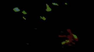 The Ropes Kill Her Off Live Glasgow, Scotland