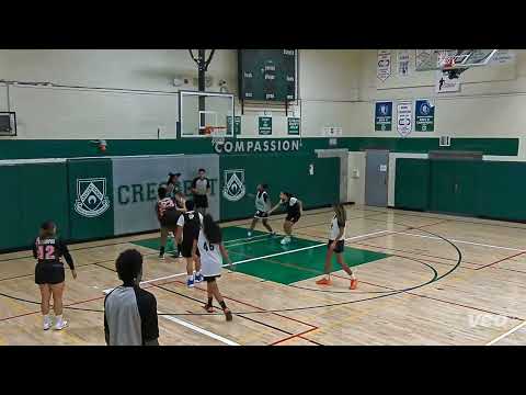 20250912 NWL 5v5 Game 2 Full -  Motion vs Toronto Phoenix