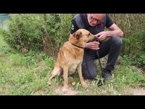 Vídeo de MATEO