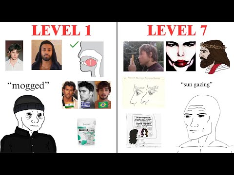 The 7 levels of Looksmaxxing
