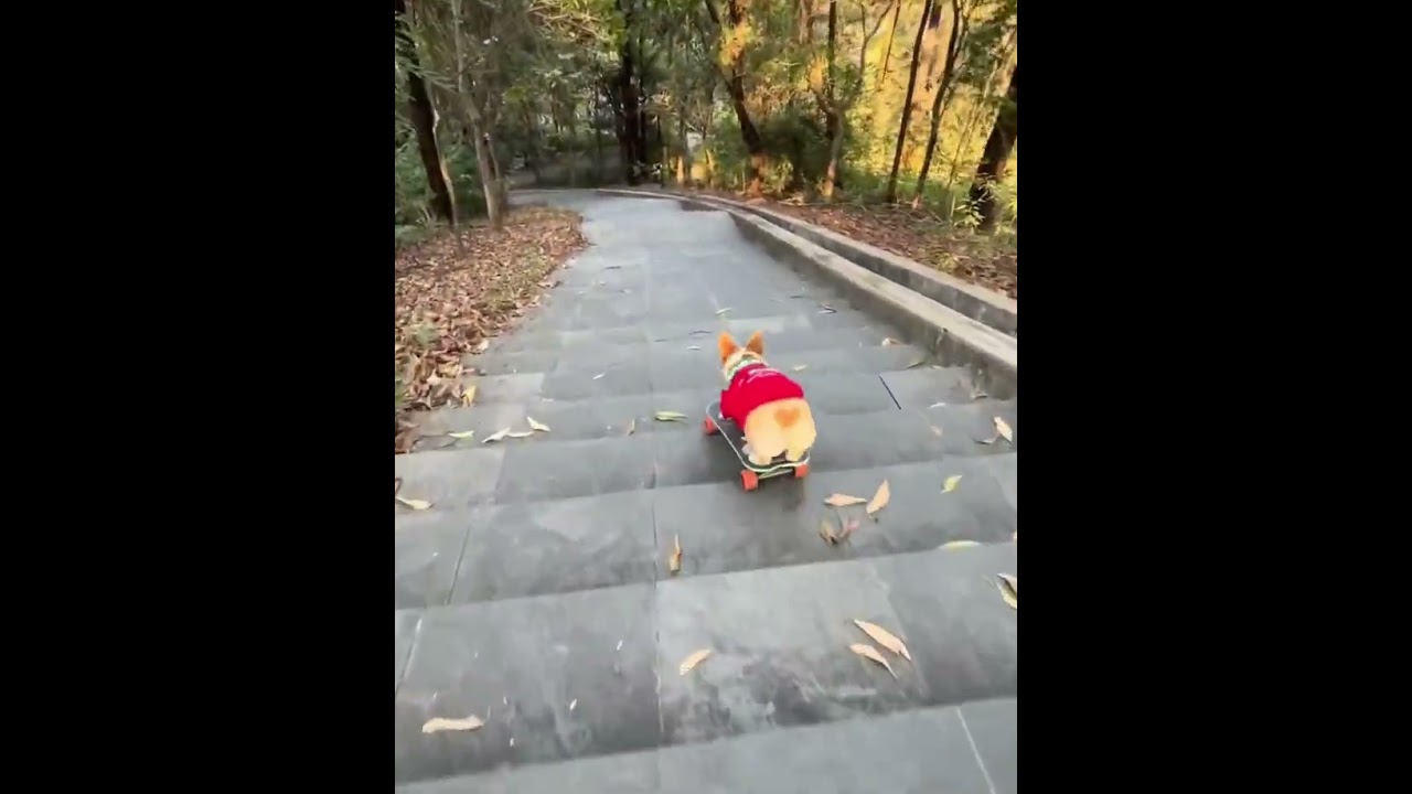 Запустить видео по клику - Как делать игры