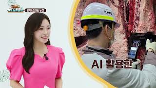데일리팜, 클릭! 스마트 농업 소고기 등급도 이제 AI가 판정한다! 축산물 AI 등급 판정 전면 확대