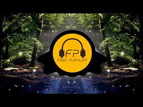 PHLOID - Human(No Copyright Music)