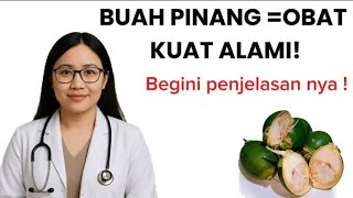 Download lagu Buah Pinang: Obat Kuat Alami untuk Pria, Terbukti Meningkatkan Stamina!” mp3 Download lagu Buah Pinang: Obat Kuat Alami untuk Pria, Terbukti Meningkatkan Stamina!” mp3