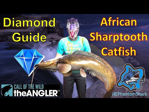 African Sharptooth Catfish Diamond Guide! Top Hotspot! Izilo Zasendulo Reserve  COTW: The Angler