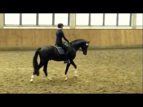 Goldberg, 30 TT Neustadt/Dosse