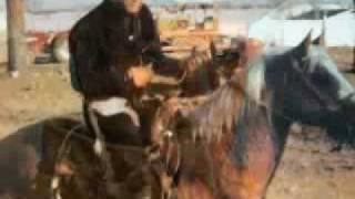 Glen Campbell - Country Boy - Elvis Presley tribute