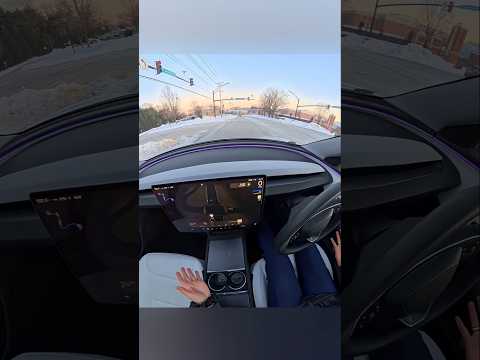 இந்த Tesla car தானாக ஒதுக்கி விடுகிறது !!