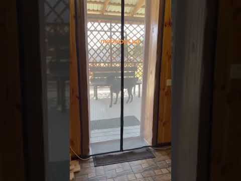 Москитная сетка на дверь с магнитами Титан 100х220 см - фото 1 - id-p2589033586