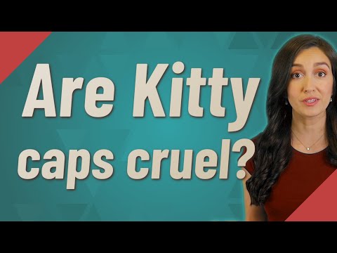 Are Kitty caps cruel?