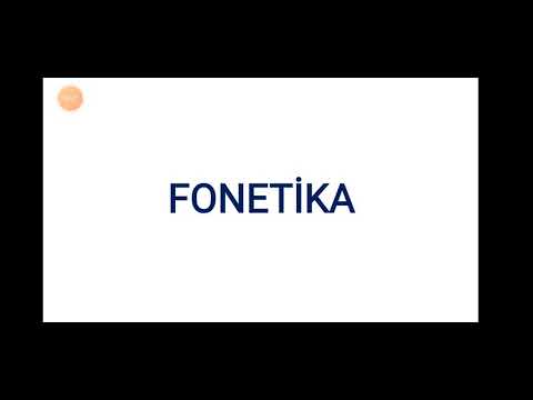 Azərbaycan dili. Fonetika. Saitlər