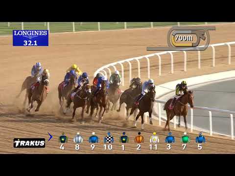Race 2 Mahab Al Shimaal