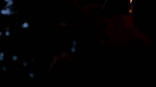 ...the Ardent Awaited Land - an ovation to Falkenbach