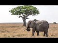 Tanzania Photo Journey HD