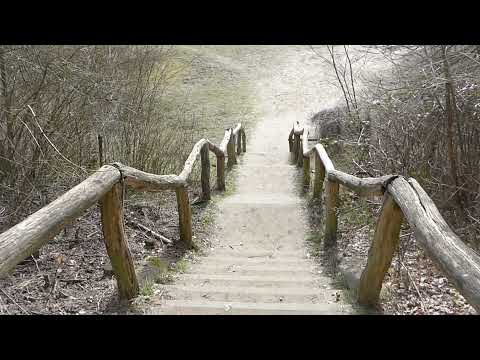 Der größte Buddelplatz Berlins / Sandgrube - Besondere Orte im Grunewald Teil 2