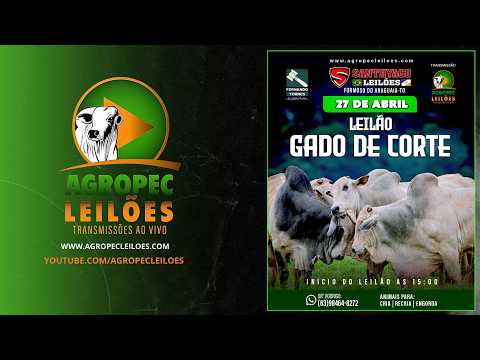 Agropec | LEILÃO ESPECIAL MULHERES DO AGRO | SANTHYAGO LEILÕES |FORMOSO DO ARAGUAIA-TO-18/05/26