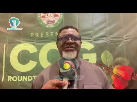 Cashew Farmers to Get Better Price Stability Under TCDA Plan