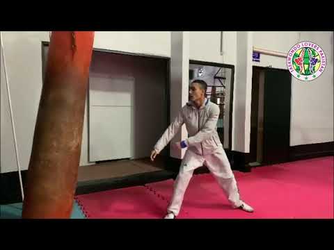 Armin Hadipour - Asian &Grand-Prix Champion Taekwondo Training for Tokyo 2021 Olympics