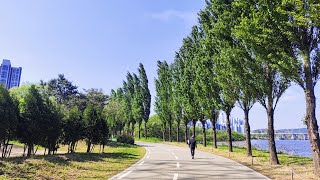 2025.05.02 집으로 가는 길 4k (양재천-청담대교-영동대교-성수대교-동호대교-한남대교-반포대교-동작대교)