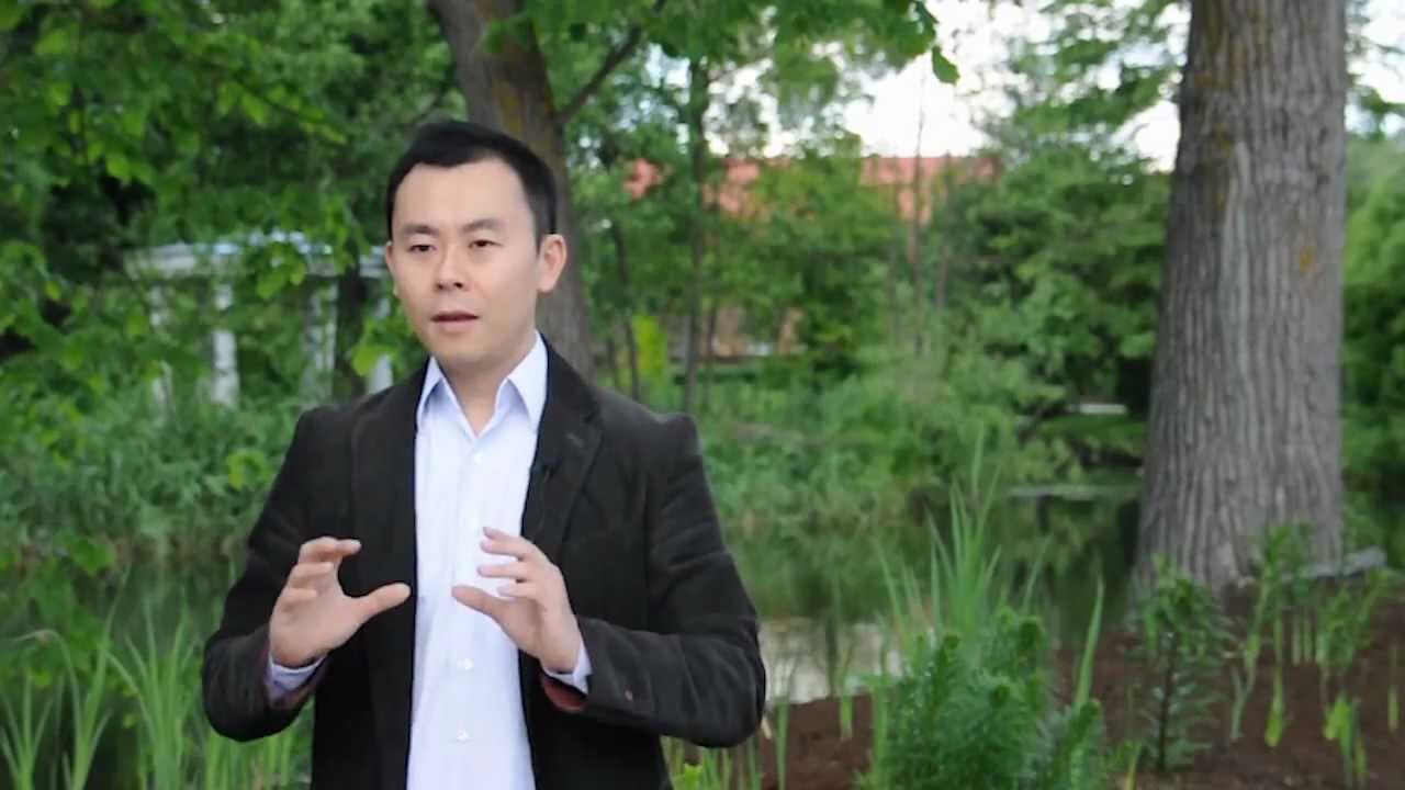 Águia ou Galinha? A escolha define seu aumento salarial