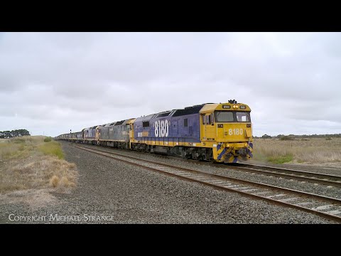 7731V Pacific National Standard Gauge Grain Train With VHAF Hoppers (10/12/2023) - PoathTV