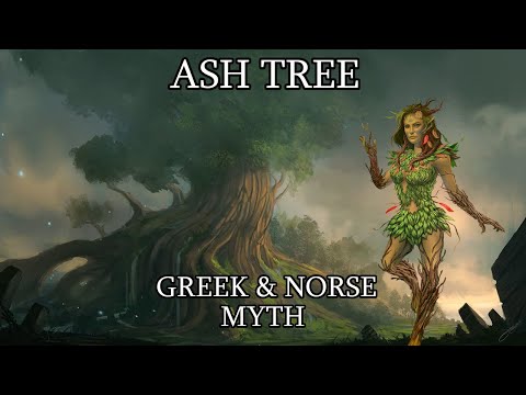 Dryads of the Ash Tree: Origin of Man