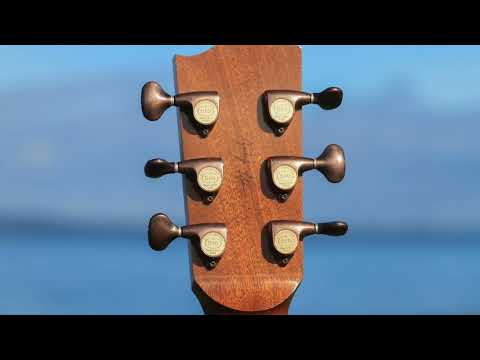 TreeHouse OMZ Acoustic Guitar - Italian Spruce over Ziricote image 10