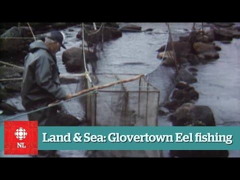 Land & Sea - Eel Fishing near Glovertown - Full Episide