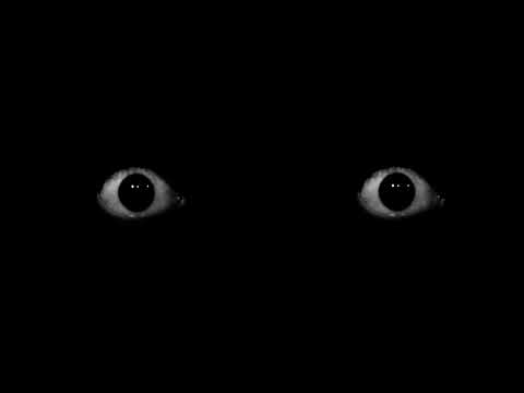 that one scary eye video that all horror youtubers use
