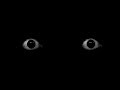 that one scary eye video that all horror youtubers use