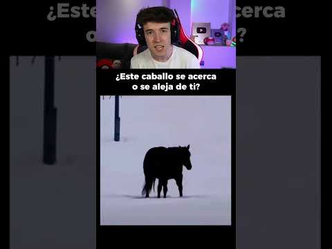 ¿ESTE CABALLO SE ACERCA o SE ALEJA? 🤯
