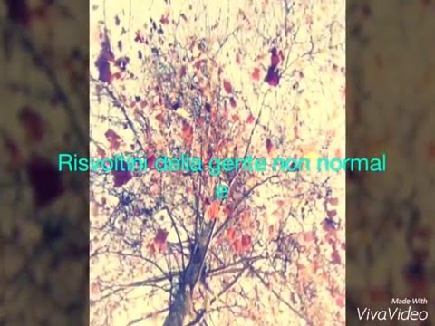 Come la gente normale si fa i risvoltini vs quelli non normali!    {vines}