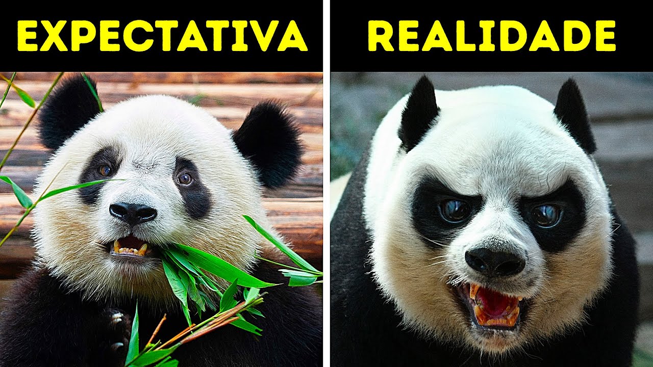 18 Animais Fofos Que Não Têm Nada De Inofensivos