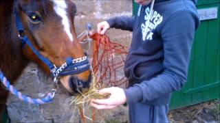 What happens when your brother comes down to the farm...