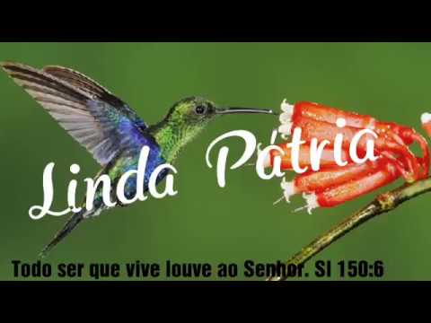 Linda Pátria (passarinhos belas flores) - Exilado Harpa Cristã 36