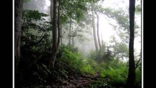 If you find yourself alone