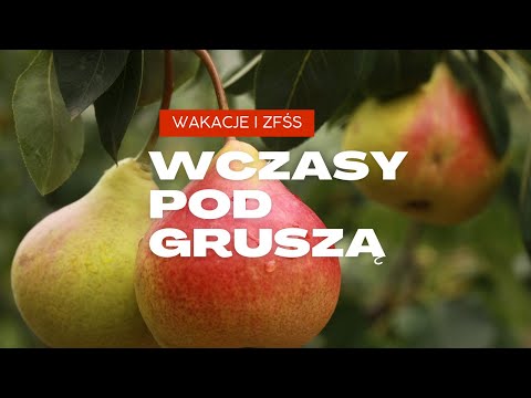 Wczasy pod gruszą - "Gruszka"