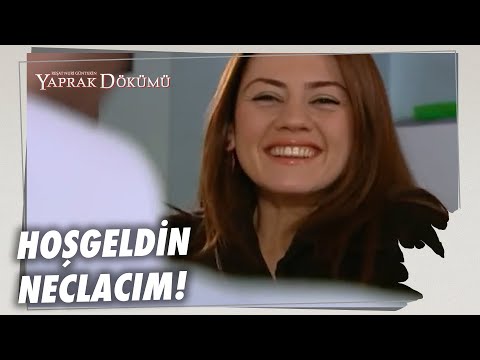 Necla, Leyla'yı Ziyaret Etti! - Yaprak Dökümü 21. Bölüm