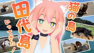 【念願】人口よりも猫が多い島、田代島にいって癒されてきた！！！【ひな旅】