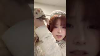 ｽﾞｯｼﾘﾓﾁﾓﾁ | #aisakamegumi (#Twitch)